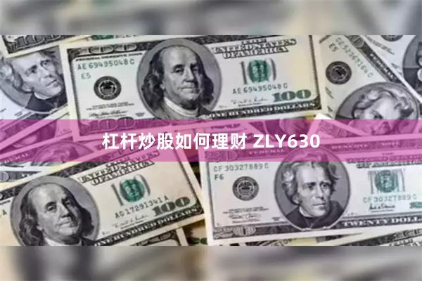 杠杆炒股如何理财 ZLY630