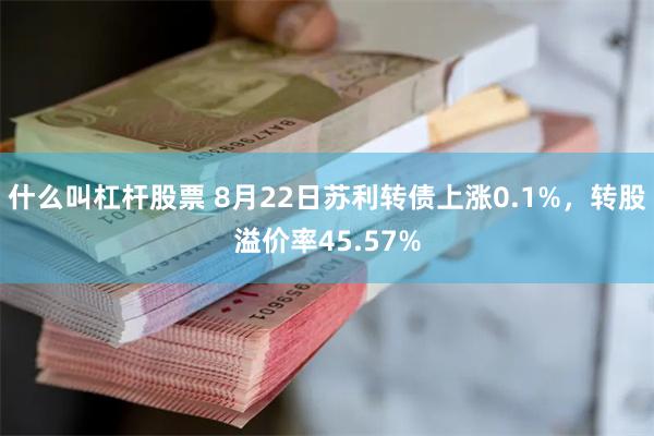 什么叫杠杆股票 8月22日苏利转债上涨0.1%，转股溢价率45.57%