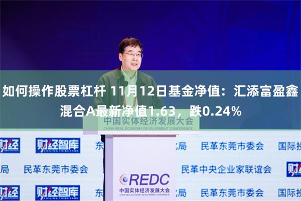 如何操作股票杠杆 11月12日基金净值：汇添富盈鑫混合A最新净值1.63，跌0.24%