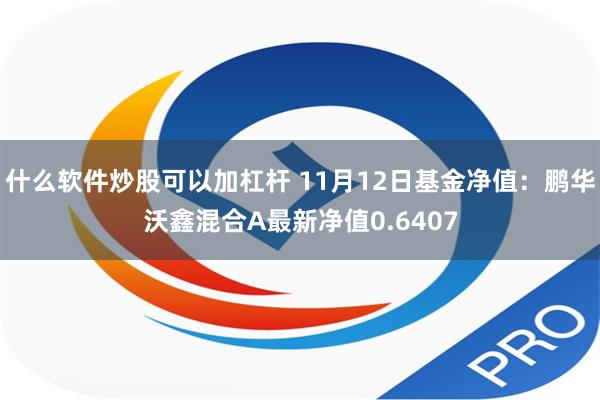 什么软件炒股可以加杠杆 11月12日基金净值：鹏华沃鑫混合A最新净值0.6407