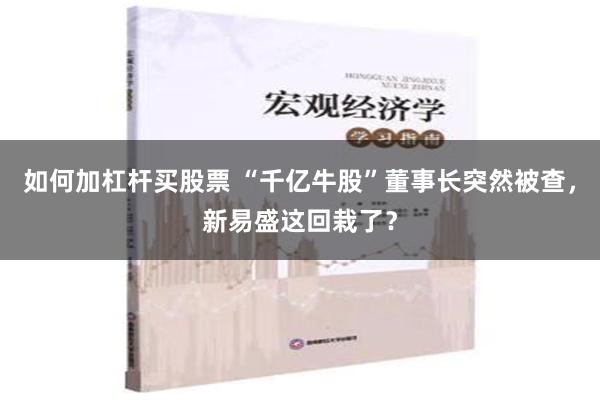 如何加杠杆买股票 “千亿牛股”董事长突然被查，新易盛这回栽了？